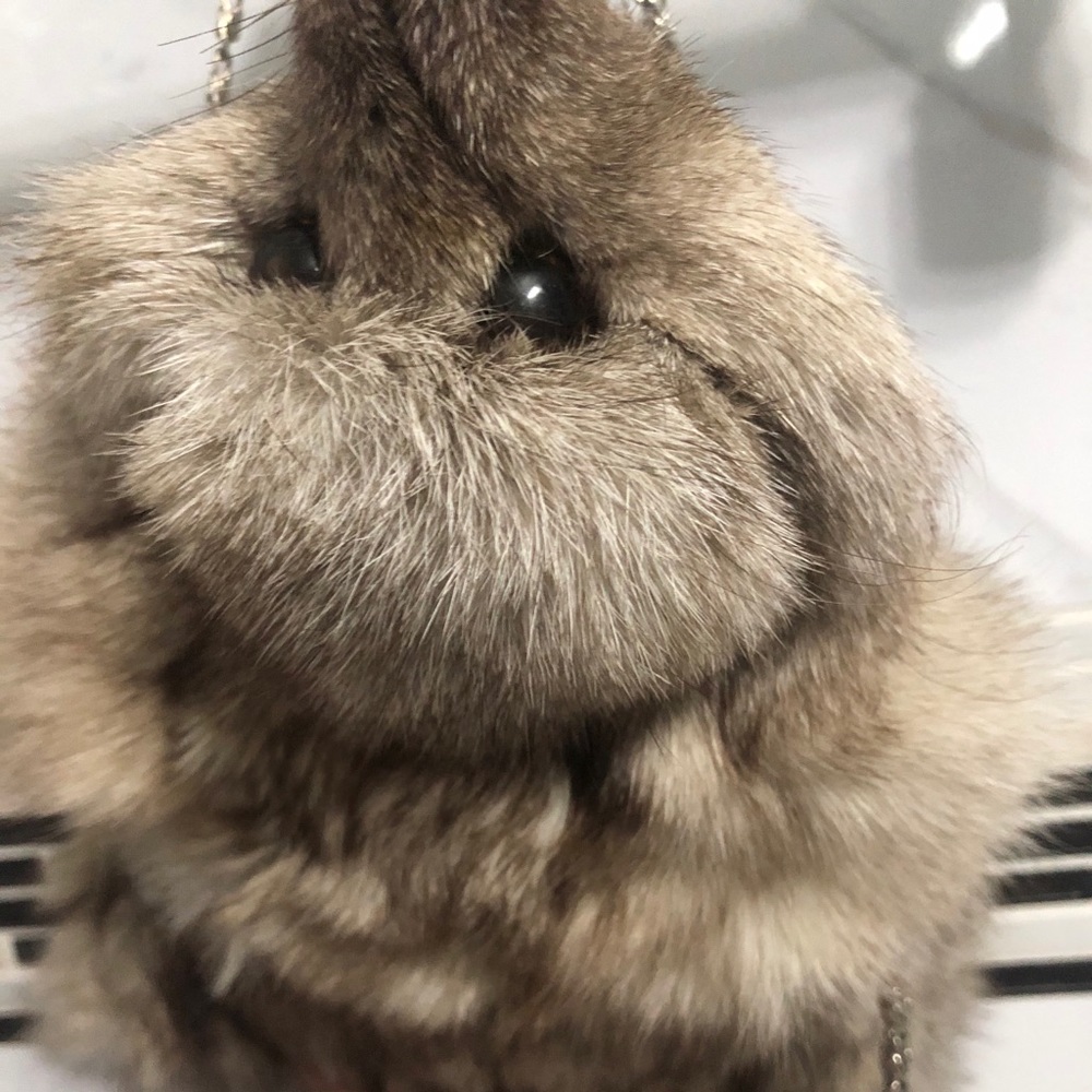 Raccoon little party purse.